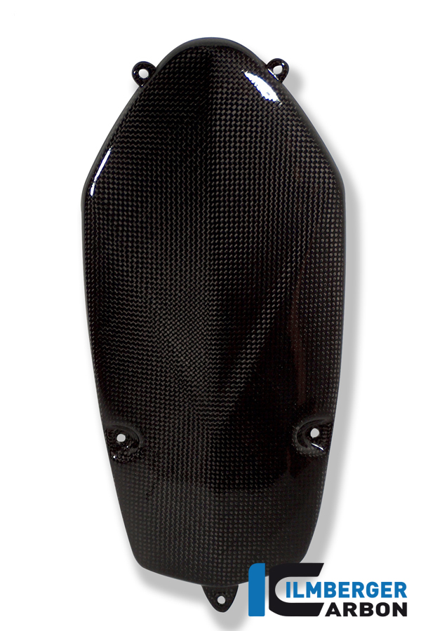 Lichtmaschinendeckel Carbon BMW R 1200 GS (2010-2012)