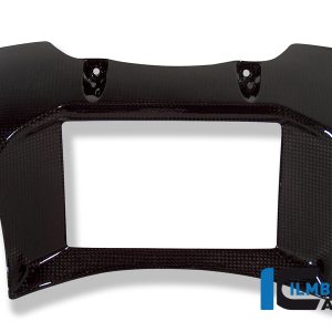 Ölkühlerabdeckung Carbon für BMW R 1200 R bis 2010 Einzelstücke Einzelstücke BMW
