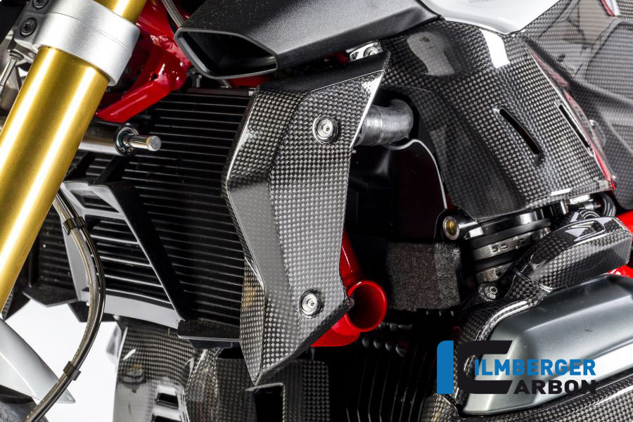Wasserkühlerabdeckung links Carbon BMW R 1200 R (LC) 2015 - 2019