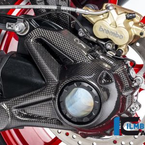 Kardangehäuseabdeckung (Montage ohne Spritzschutz hinten) Carbon für die wassergekühlten BMW R 1200 BMW R 1200 RS (LC) 2015-2019
