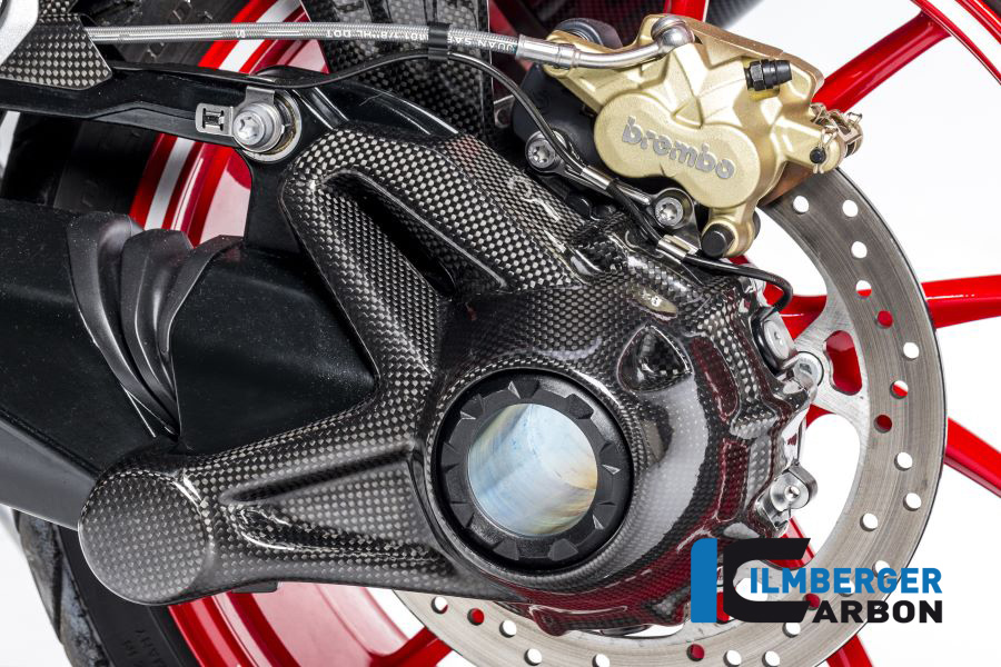 Kardangehäuseabdeckung (Montage ohne Spritzschutz hinten) Carbon für die wassergekühlten BMW R 1200 BMW R 1200 R (LC) 2015 - 2019