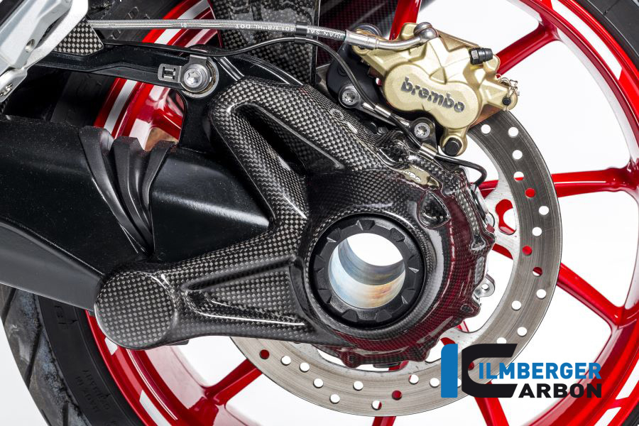 Kardangehäuseabdeckung (Montage ohne Spritzschutz hinten) Carbon für die wassergekühlten BMW R 1200 BMW R 1200 R (LC) 2015 - 2019 – Bild 2