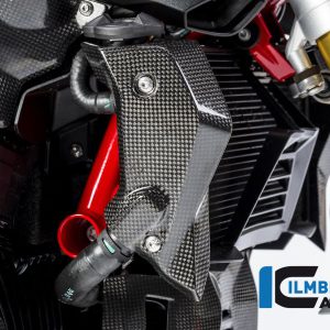 Wasserkühlerabdeckung rechts Carbon BMW R 1200 R (LC) 2015 - 2019