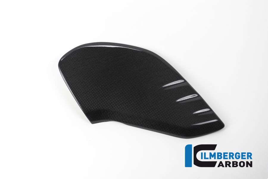 Tankabdeckung links Carbon - BMW R NineT / Scrambler BMW R nineT (2014-2016) – Bild 4