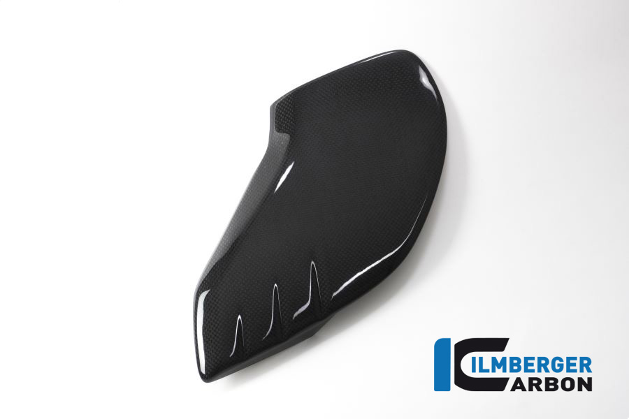 Tankabdeckung links Carbon - BMW R NineT / Scrambler BMW R nineT (2014-2016) – Bild 5
