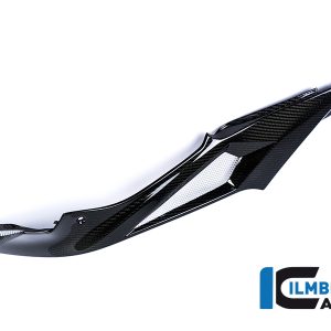 Seitendeckel links am Tank Racing Carbon BMW S 1000 RR Racing (2015-2016)