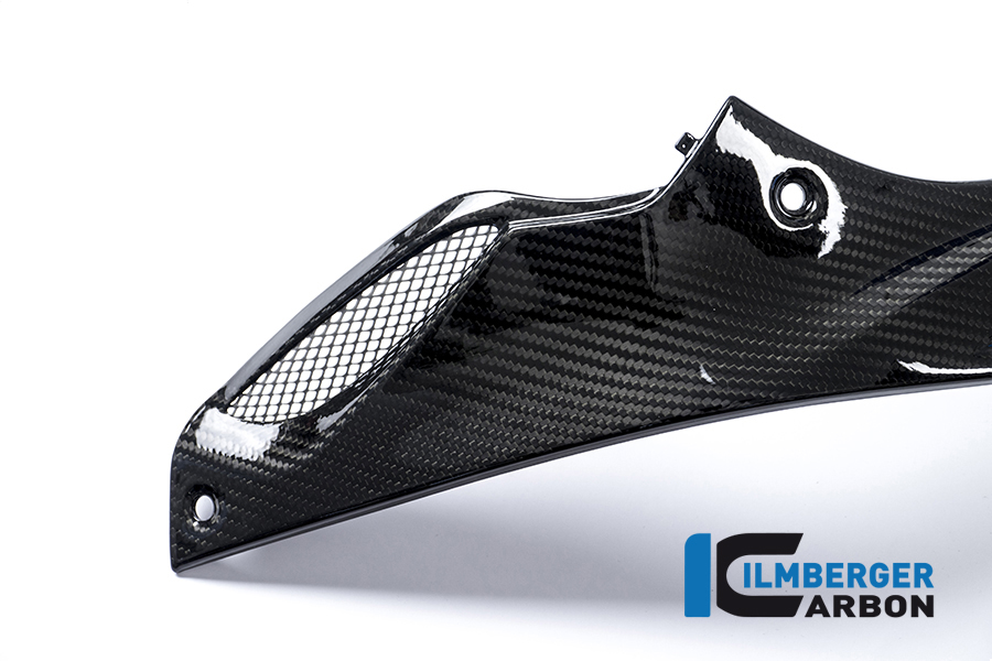Seitendeckel links am Tank Racing Carbon BMW S 1000 RR Racing (2015-2016) – Bild 2