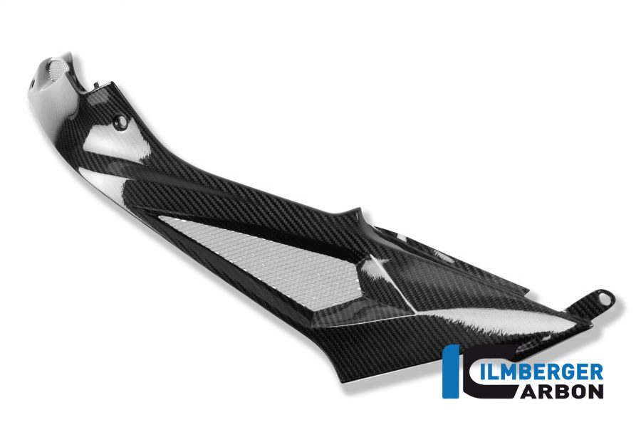 Seitendeckel links am Tank Racing Carbon BMW S 1000 RR Racing (2015-2016) – Bild 3