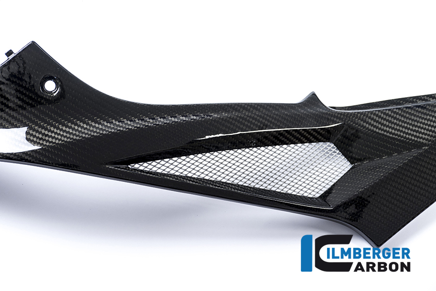 Seitendeckel links am Tank Racing Carbon BMW S 1000 RR Racing (2015-2016) – Bild 5