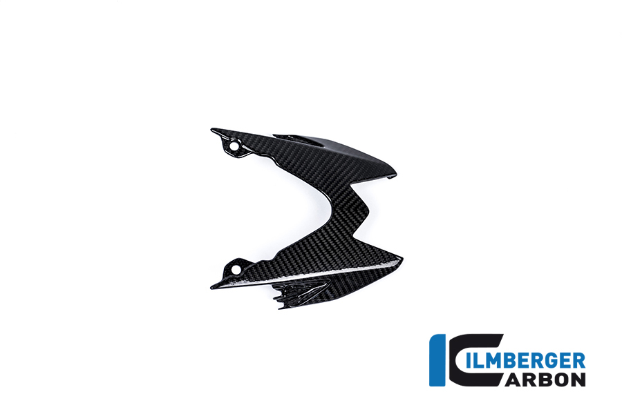 Heckverkleidung hinten oben (Rücklichtverkleidung) Carbon BMW S 1000 RR Strasse (2017-2018)