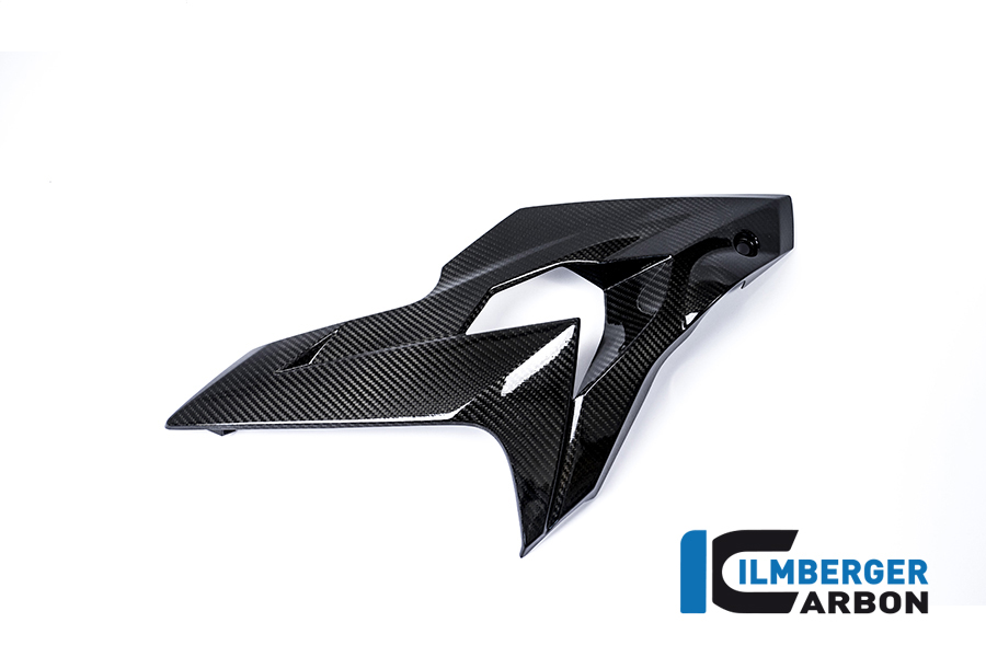 Verkleidungsseitenteil links Carbon BMW S 1000 R (2014-2016)