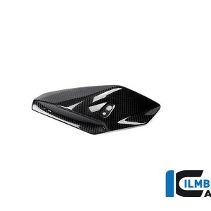 Seitliche Abdeckung am Oberteil links Carbon BMW S 1000 R 2017-2020