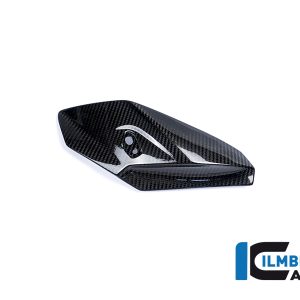 Seitliche Abdeckung am Oberteil rechts Carbon BMW S 1000 R 2017-2020