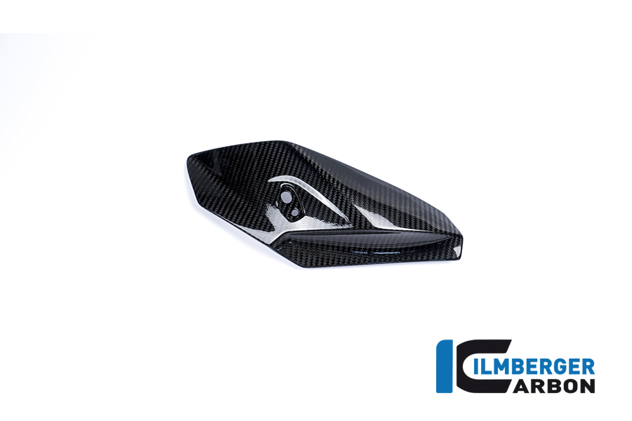 Seitliche Abdeckung am Oberteil rechts Carbon BMW S 1000 R 2017-2020