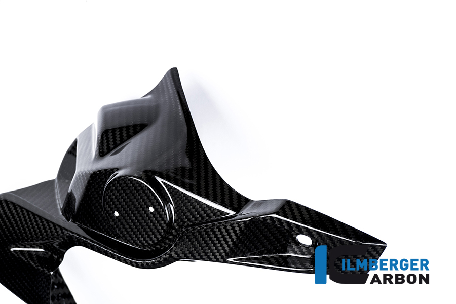 Wasserkühlerabdeckung links Carbon BMW S 1000 R (2014-2016) – Bild 4