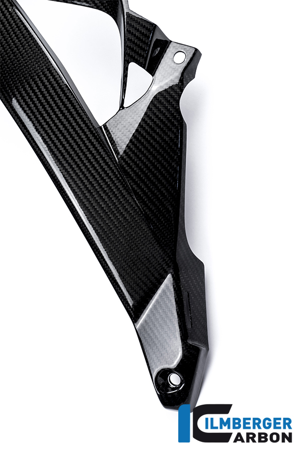 Wasserkühlerabdeckung links Carbon BMW S 1000 R (2014-2016) – Bild 5