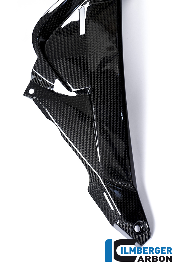 Wasserkühlerabdeckung rechts Carbon BMW S 1000 R (2014-2016) – Bild 5