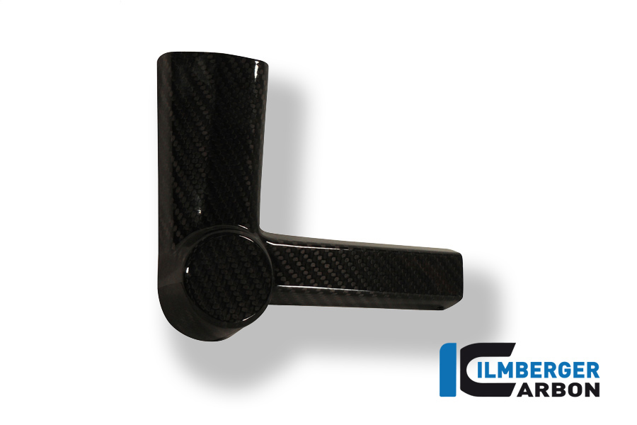 Sturzpad am Rahmen links Carbon BMW S 1000 RR Strasse (2015-2016)