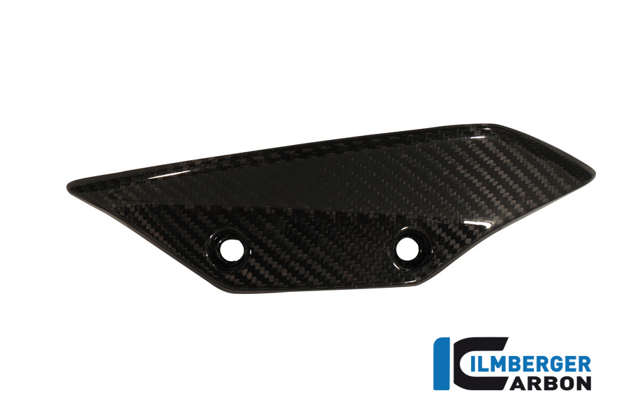 Verkleidungswinglet links Carbon BMW S 1000 RR Strasse (2012-2014)