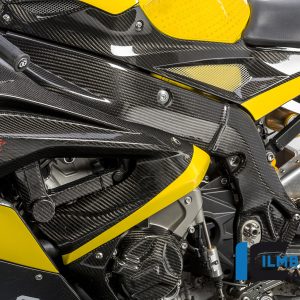 Rahmenabdeckung linke Seite Carbon BMW S 1000 RR Racing (2017-2018)