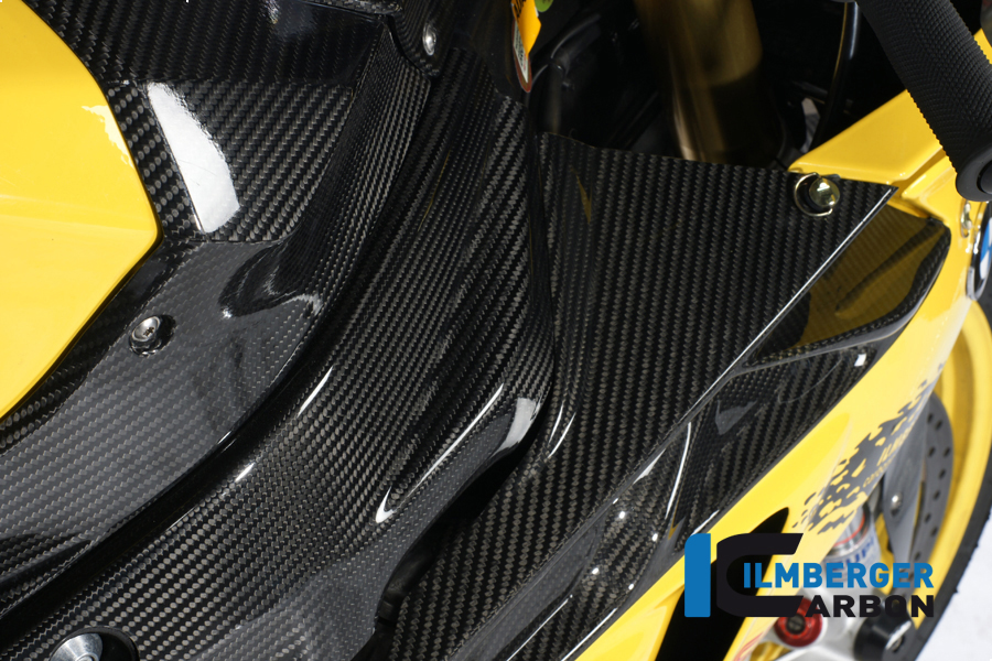 Rahmenabdeckung rechts und links Carbon BMW S 1000 RR Racing (2009-2011) – Bild 2