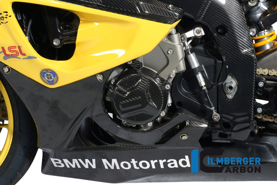 Lichtmaschinendeckelabdeckung Carbon BMW S 1000 RR Racing (2015-2016)