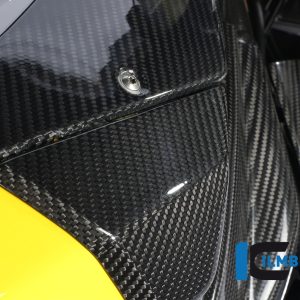 Seitendeckel links am Tank Carbon BMW S 1000 RR Racing (2012-2014)