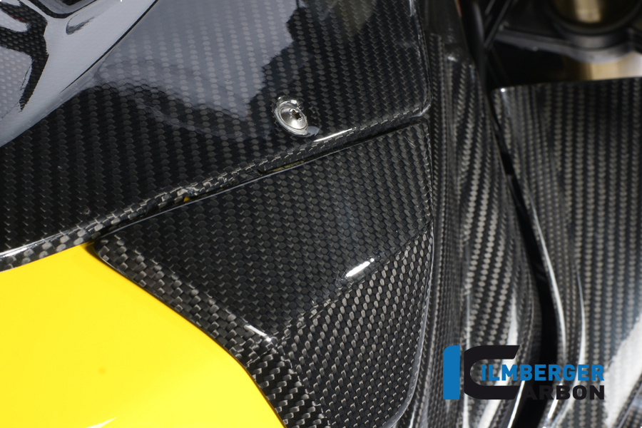 Seitendeckel links am Tank Carbon BMW S 1000 RR Racing (2012-2014)