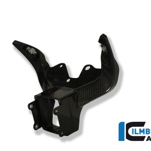 Verkleidungshalter / Instrumententräger Carbon BMW S 1000 RR Racing (2012-2014)