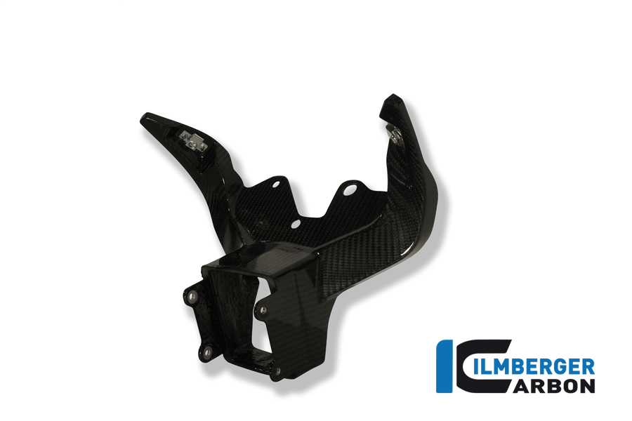 Verkleidungshalter / Instrumententräger Carbon BMW S 1000 RR Racing (2009-2011)