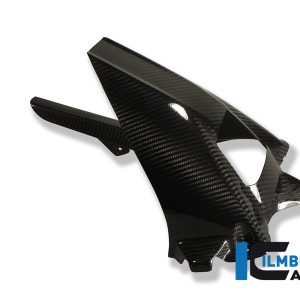 Kotflügel hinten mit Kettenschutz mit ABS Carbon BMW S 1000 RR Racing (2017-2018)
