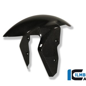 Kotflügel vorne Carbon BMW S 1000 RR Racing (2017-2018)