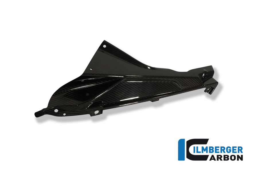 Plakettenträger links (oberes Teil des Verkleidungsseitenteils) Carbon BMW S 1000 RR Strasse (2009-2011) – Bild 2