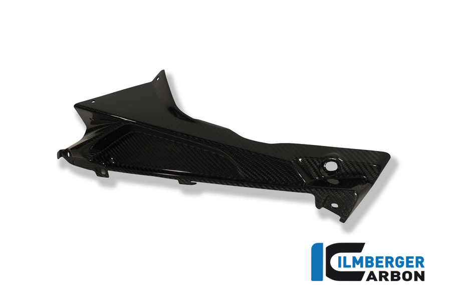 Plakettenträger links (oberes Teil des Verkleidungsseitenteils) Carbon BMW S 1000 RR Strasse (2009-2011) – Bild 3