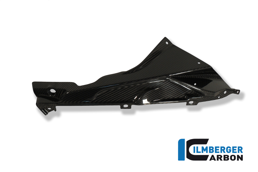 Plakettenträger rechts (oberes Teil des Verkleidungsseitenteils) Carbon BMW S 1000 RR Strasse (2009-2011)