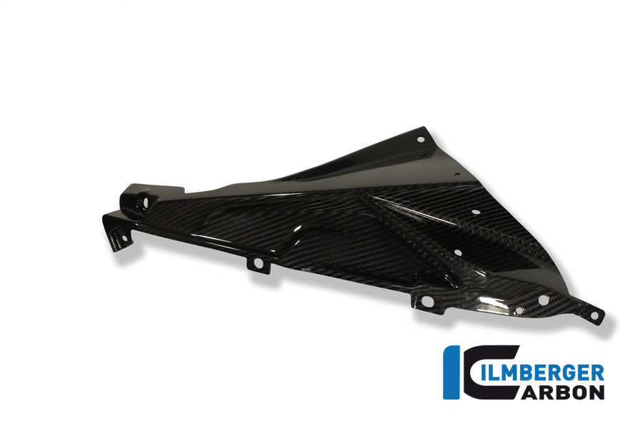 Plakettenträger rechts (oberes Teil des Verkleidungsseitenteils) Carbon BMW S 1000 RR Strasse (2009-2011) – Bild 2