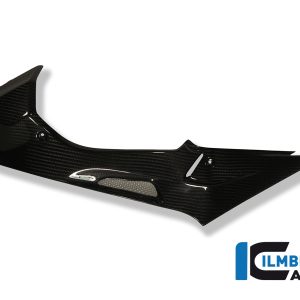 Seitendeckel links am Tank Carbon BMW S 1000 RR Strasse (2009-2011)