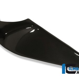 Rahmenabdeckung links Carbon für Buell 1125 R/CR Einzelstücke Einzelstücke Buell