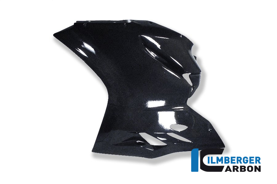 Verkleidungsseitenteil links Race Carbon DUCATI Panigale 1299
