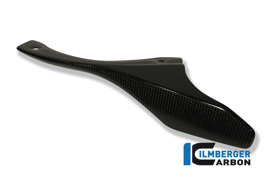 Kettenschutz an der Schwinge Carbon DUCATI 848/ 1098 S/R