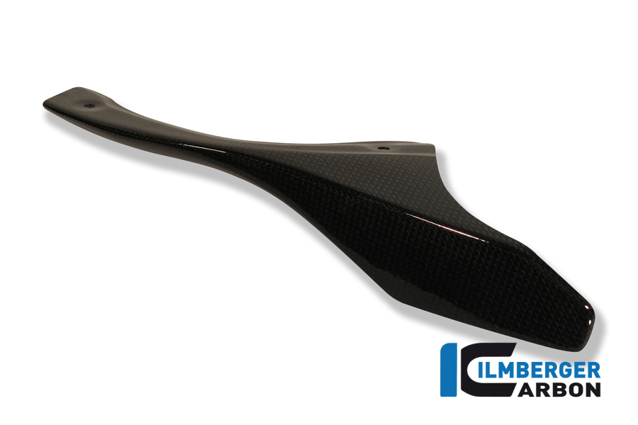 Kettenschutz an der Schwinge Carbon DUCATI 848/ 1098 S/R – Bild 2