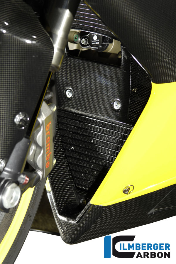 Verkleidungseinsatz Carbon Einzelstücke Einzelstücke Ducati – Bild 2