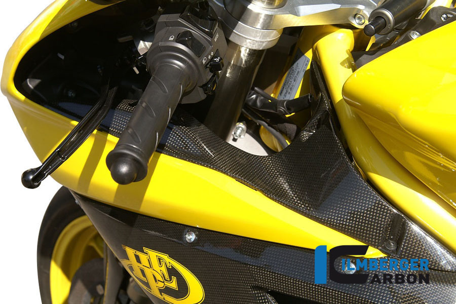 Windkanalabdeckungen Paar Carbon DUCATI 848/ 1098 S/R – Bild 4