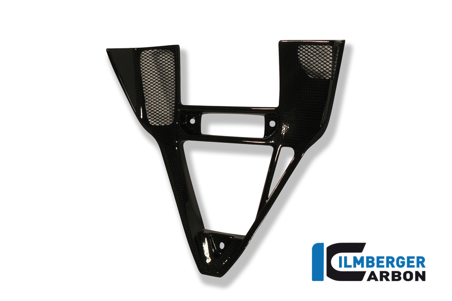 Verkleidungseinsatz Carbon für Ducati 749/999 Einzelstücke Einzelstücke Ducati