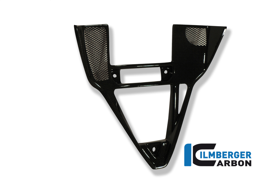 Verkleidungseinsatz Carbon für Ducati 749/999 Einzelstücke Einzelstücke Ducati – Bild 2