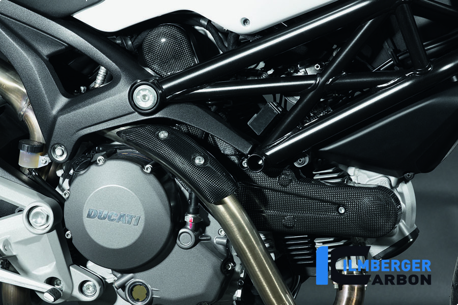 Horizontale Zahnriemenabdeckung Carbon DUCATI Monster 696 (2008-2009)