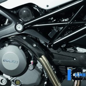 Vertikale Zahnriemenabdeckung Carbon DUCATI Monster 696 (2008-2009)