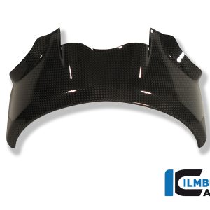 Lampenabdeckung Carbon DUCATI Monster 796 (2010-2014)