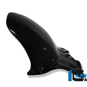 Kotflügel hinten Carbon DUCATI Monster 696 (2008-2009)