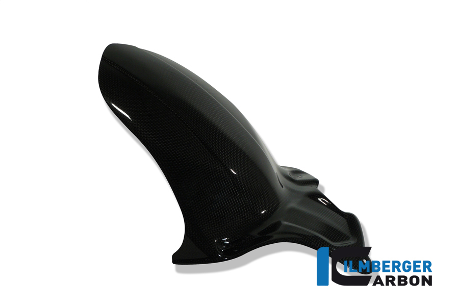 Kotflügel hinten Carbon DUCATI Monster 696 (2008-2009)